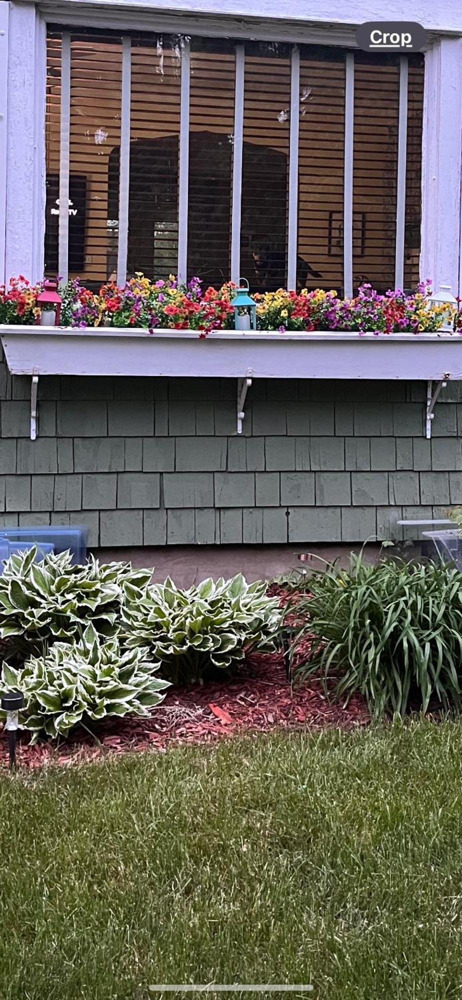 Cozy Cape Cod Villa Grand Rapids Luaran gambar