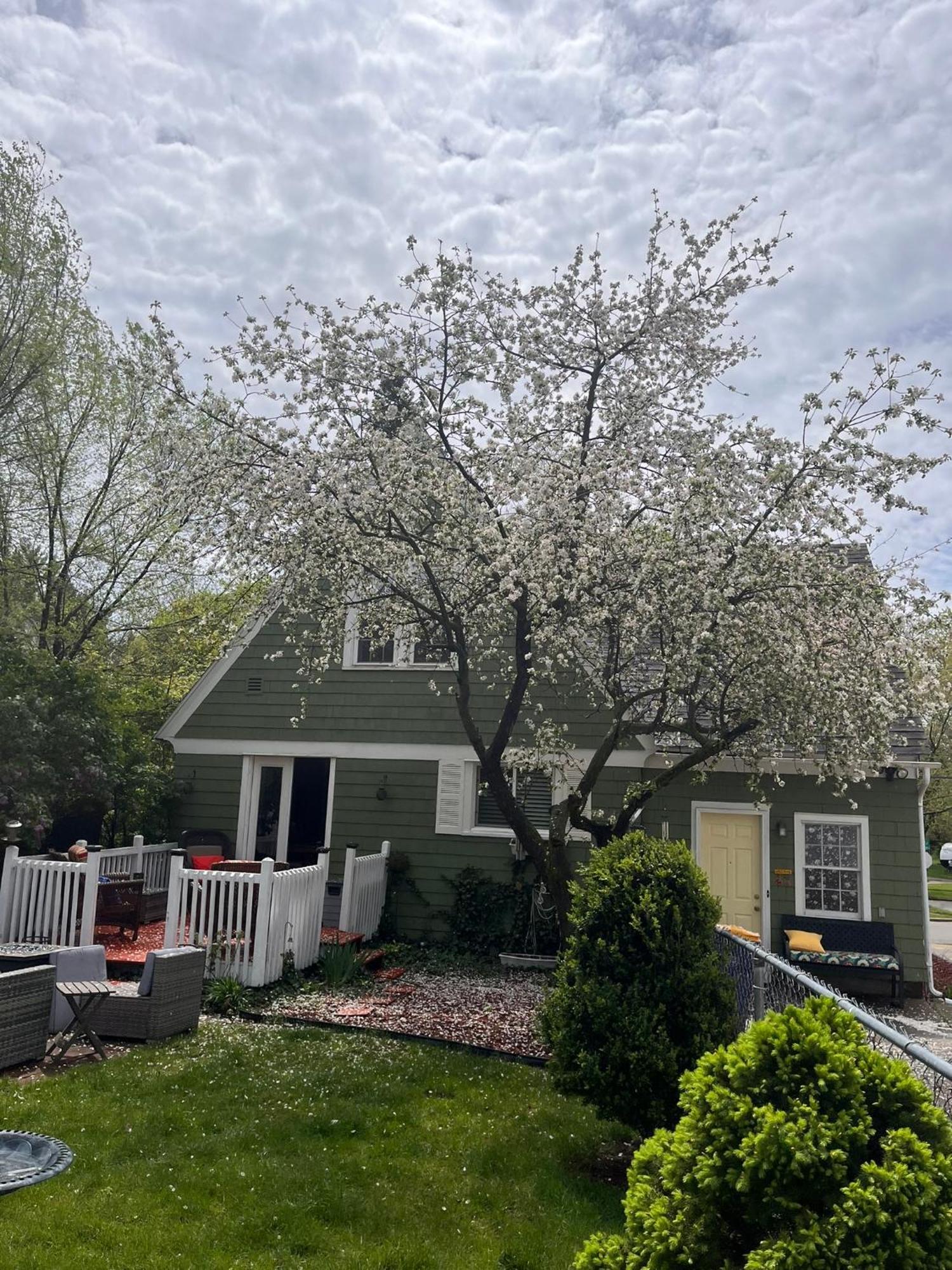 Cozy Cape Cod Villa Grand Rapids Luaran gambar